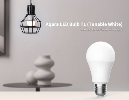 LED Bulb T1