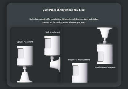 Motion Sensor P1