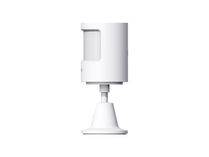 Motion Sensor P1